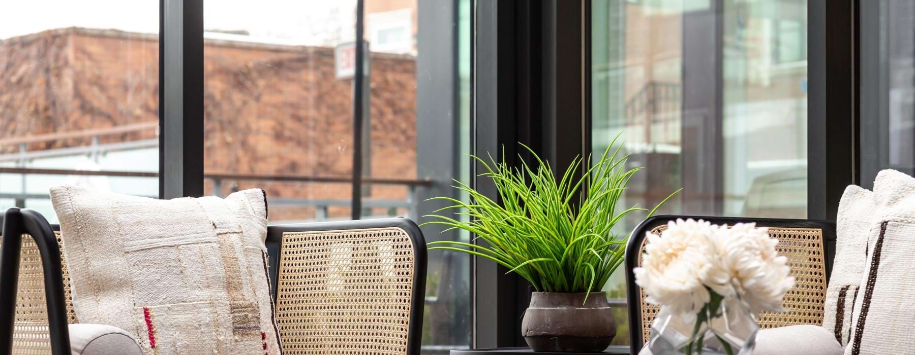 a couple of chairs and a table with a plant on it