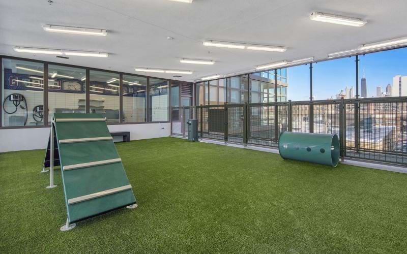 a large green room with a large window