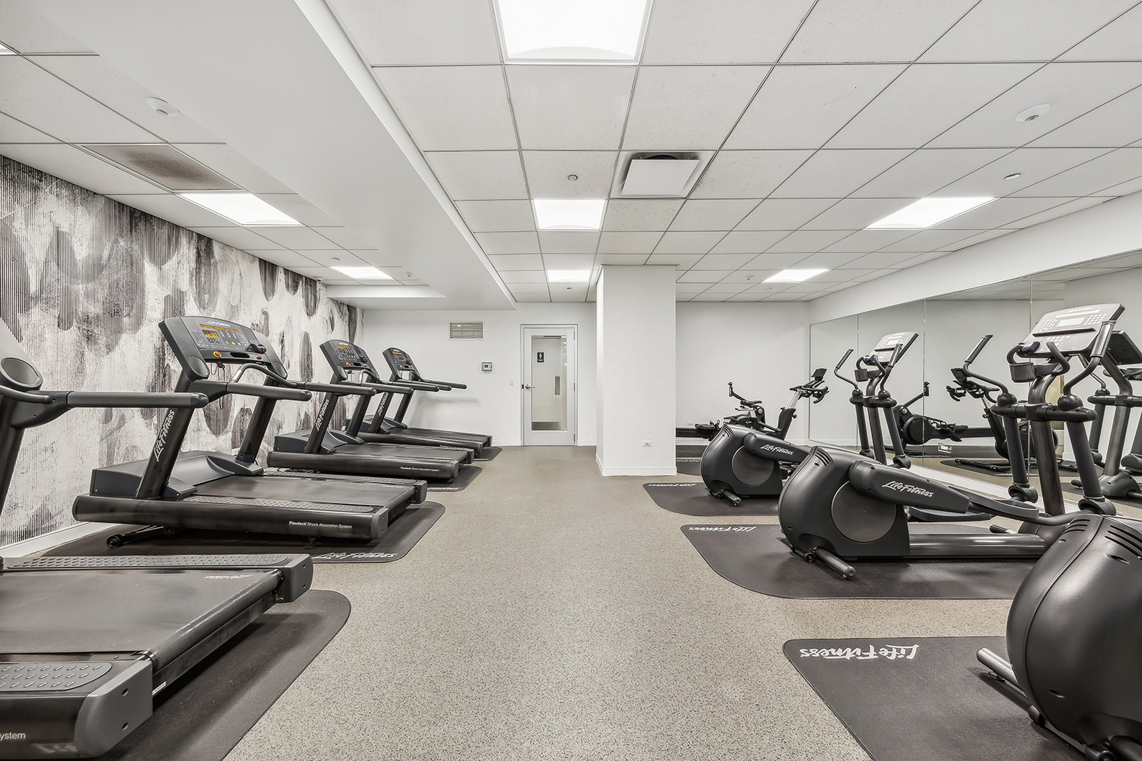 the-seneca-apartment-homes-for-rent-chicago-il-60611-fitness-center