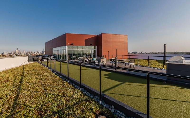 game lawn near the water